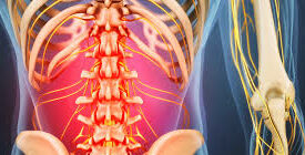 Chiropractic CE Courses- Nutrition