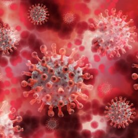 Covid Virus
