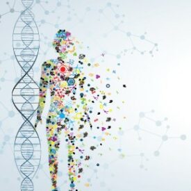Functional Medicine CEU Course